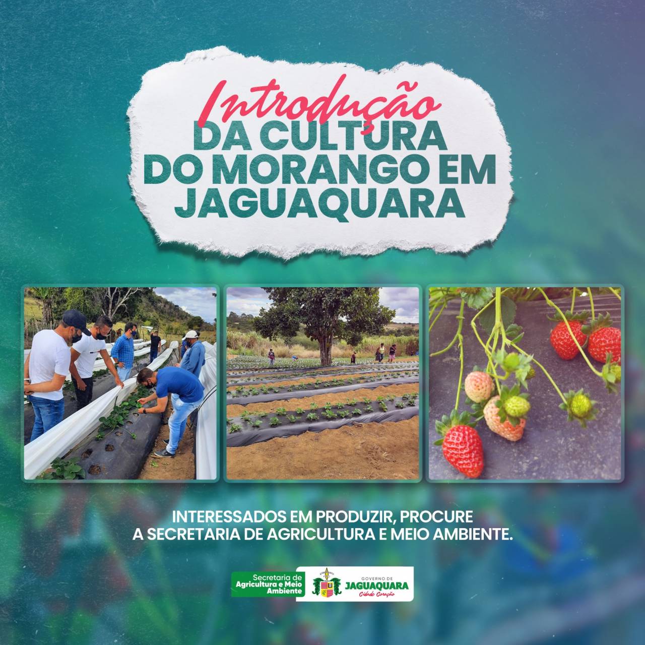 Dia Dos Evangélicos - Prefeitura de Jaguaquara