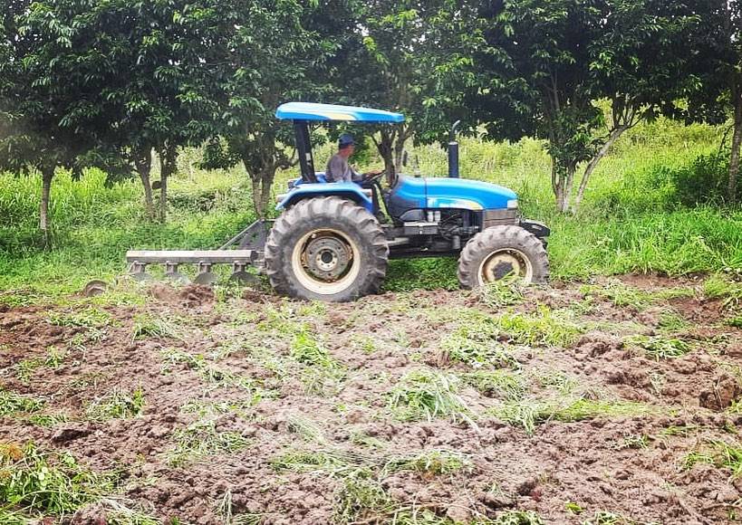 Assistência Técnica, preparo do solo, aração, gradagem dentre outros suportes,…