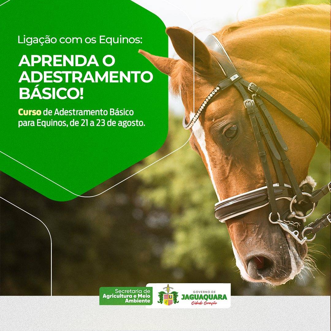 Pronto para uma conexão especial com os nossos amigos equinos? Participe do curso de Adestramento…