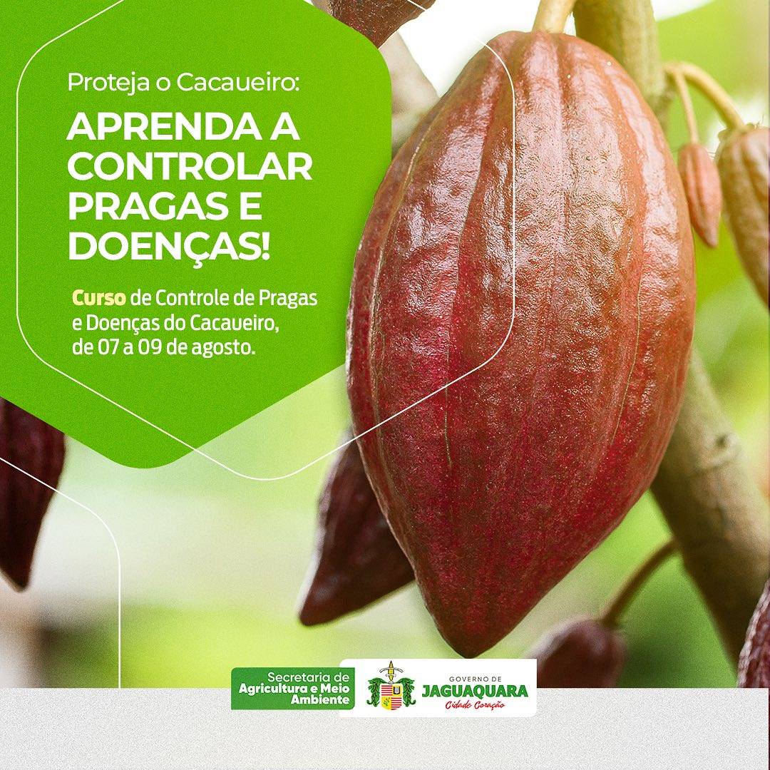 Quer se tornar um guardião do cacaueiro? Participe do nosso curso de Controle de Pragas e Doenças…