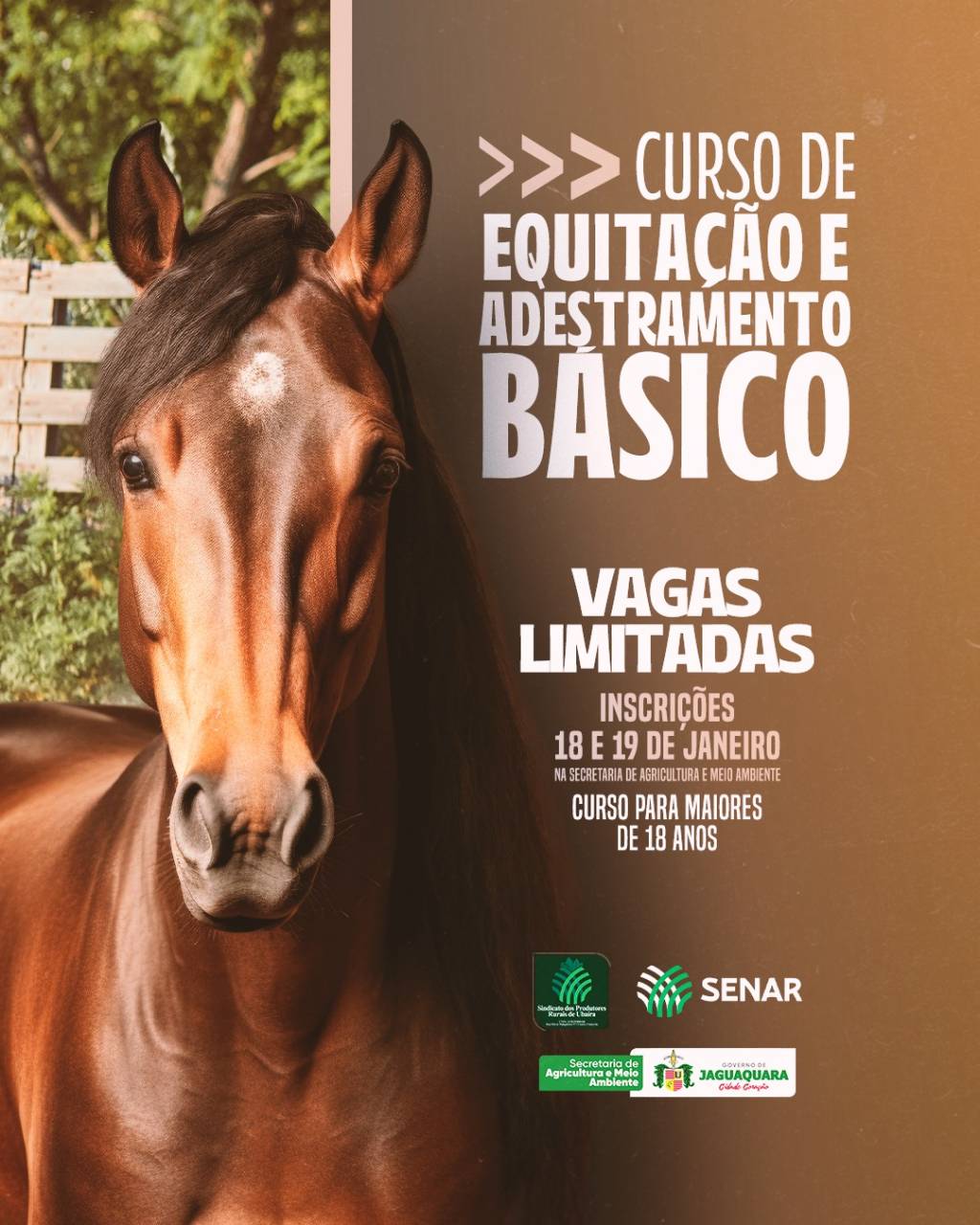 Curso de Equitação e Adestramento Básico!  A Secretaria de Agricultura…