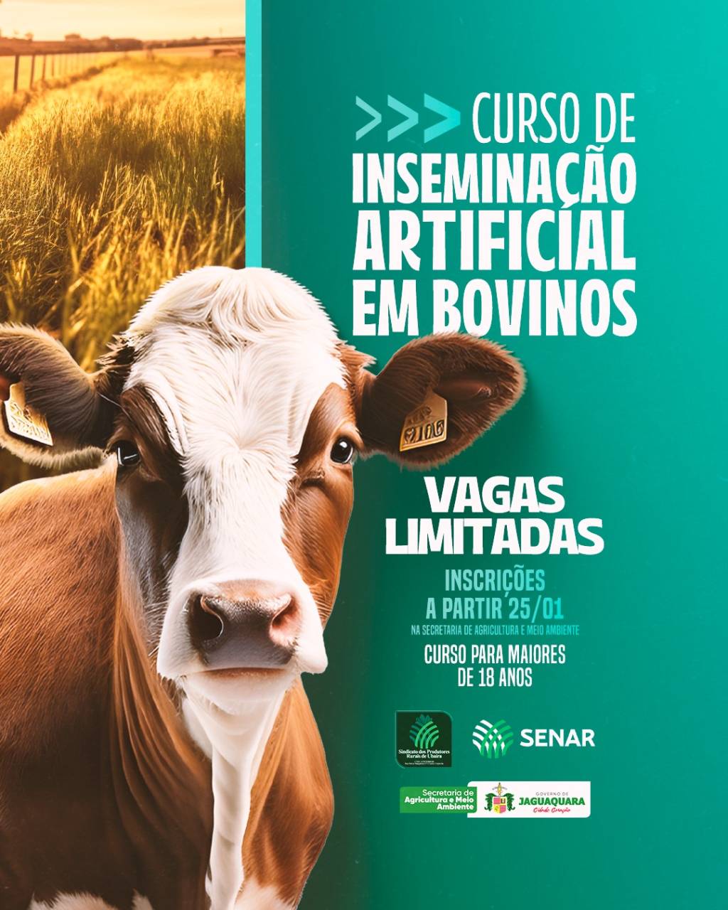  Curso de Inseminação Artificial em Bovinos!  Em parceria com a Secretaria…