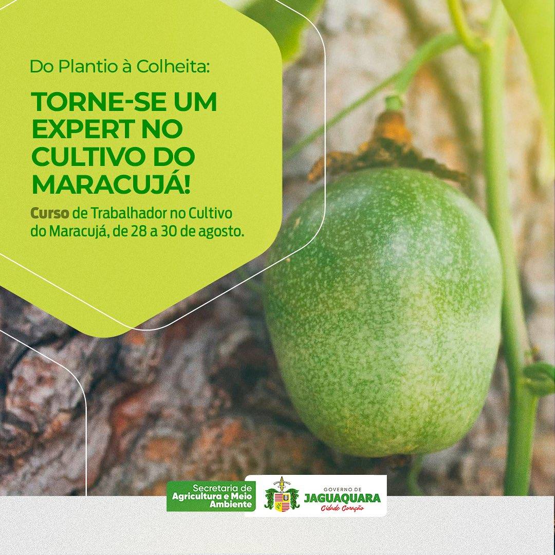 O maracujá é uma paixão tropical e queremos cultivá-lo com excelência! Venha…